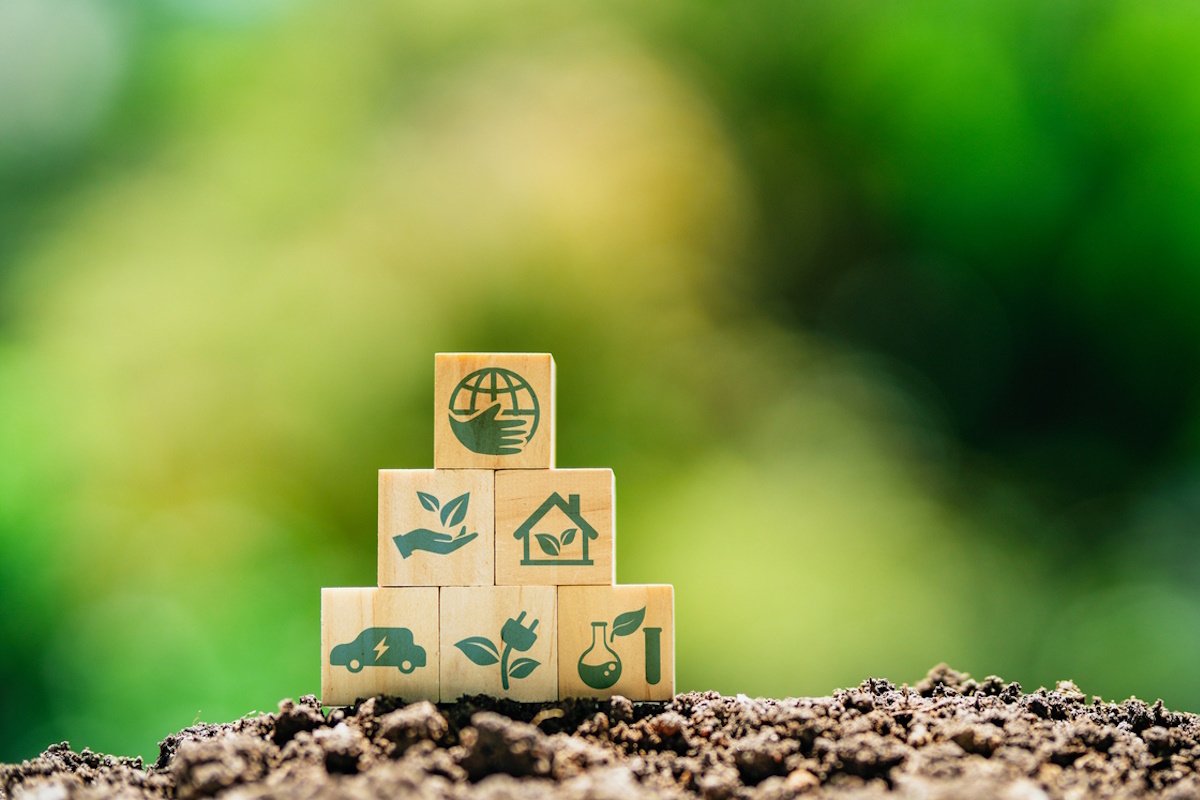 Why the SEED Model is the Future of Sustainable Business Strategies